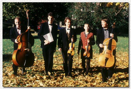 Foto Stilbl&uuml;ten